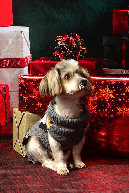 The Present Under the Tree You Can’t Wrap